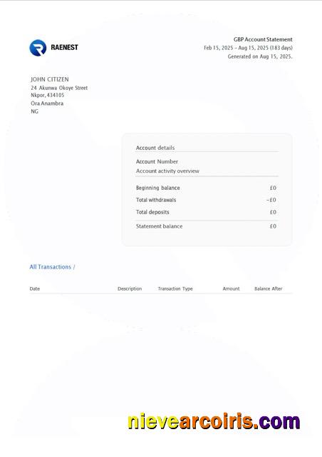 Nigeria Raenest account statement Word and PDF